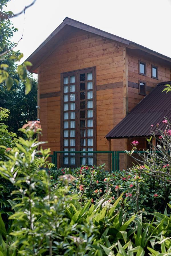 벵갈루루 The Pine Loft 빌라 외부 사진